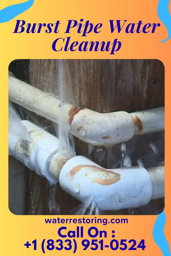Burst Pipe Water Cleanup in Timberlake, OH