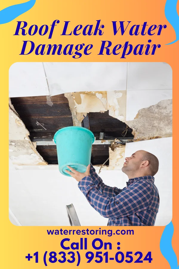 Roof Leak Water Damage Repair in Timberlake, OH