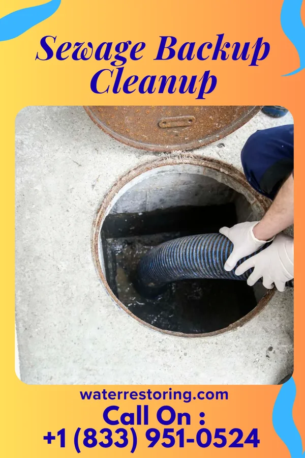 Sewage Backup Cleanup in Timberlake, OH
