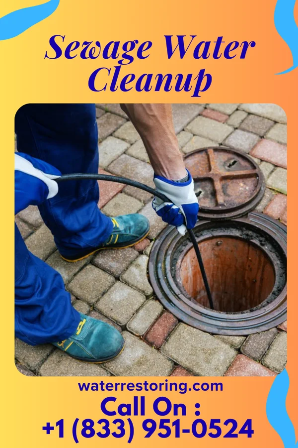 Sewage Water Cleanup in Timberlake, OH
