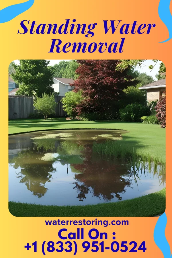 Standing Water Removal in Timberlake, OH